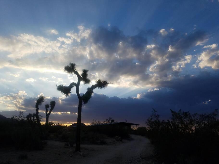 Steph'S Panorama Paradise-Nat'L Park Minutes Away Joshua Tree Bagian luar foto