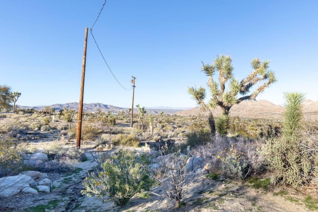 Steph'S Panorama Paradise-Nat'L Park Minutes Away Joshua Tree Bagian luar foto