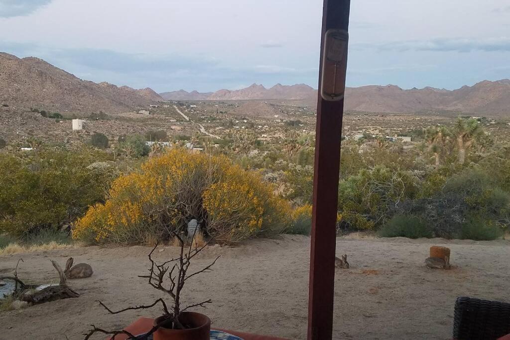 Steph'S Panorama Paradise-Nat'L Park Minutes Away Joshua Tree Bagian luar foto