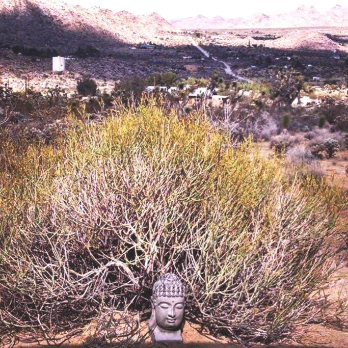 Steph'S Panorama Paradise-Nat'L Park Minutes Away Joshua Tree Bagian luar foto