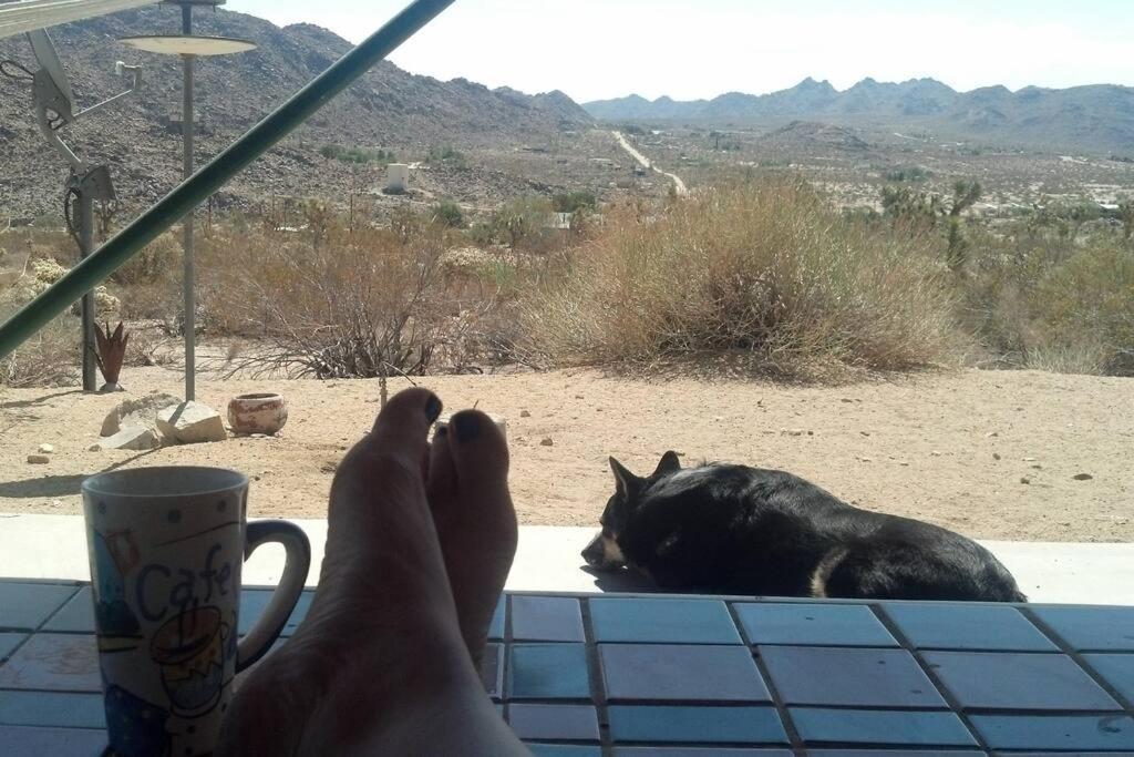 Steph'S Panorama Paradise-Nat'L Park Minutes Away Joshua Tree Bagian luar foto