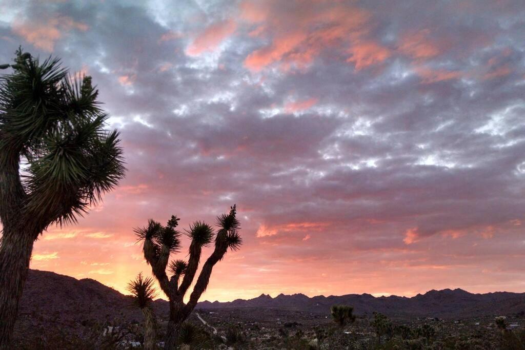 Steph'S Panorama Paradise-Nat'L Park Minutes Away Joshua Tree Bagian luar foto