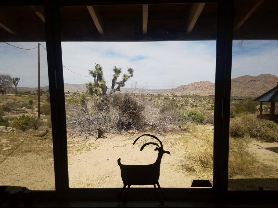 Steph'S Panorama Paradise-Nat'L Park Minutes Away Joshua Tree Bagian luar foto