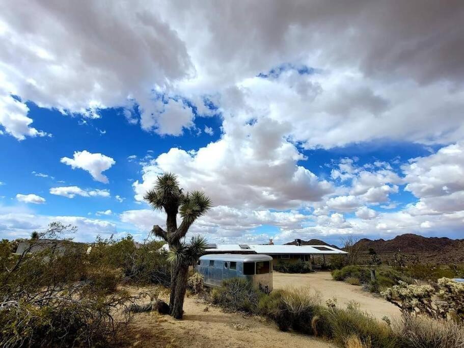 Steph'S Panorama Paradise-Nat'L Park Minutes Away Joshua Tree Bagian luar foto
